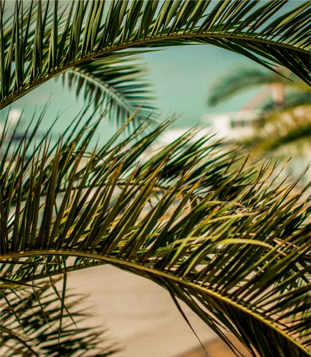 Sudara Phuket | YouMakeMe