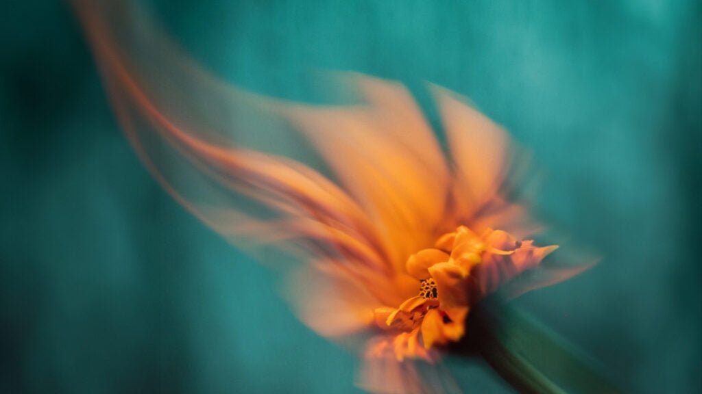 YouMakeMe Branding Agency for Sudara Phuket