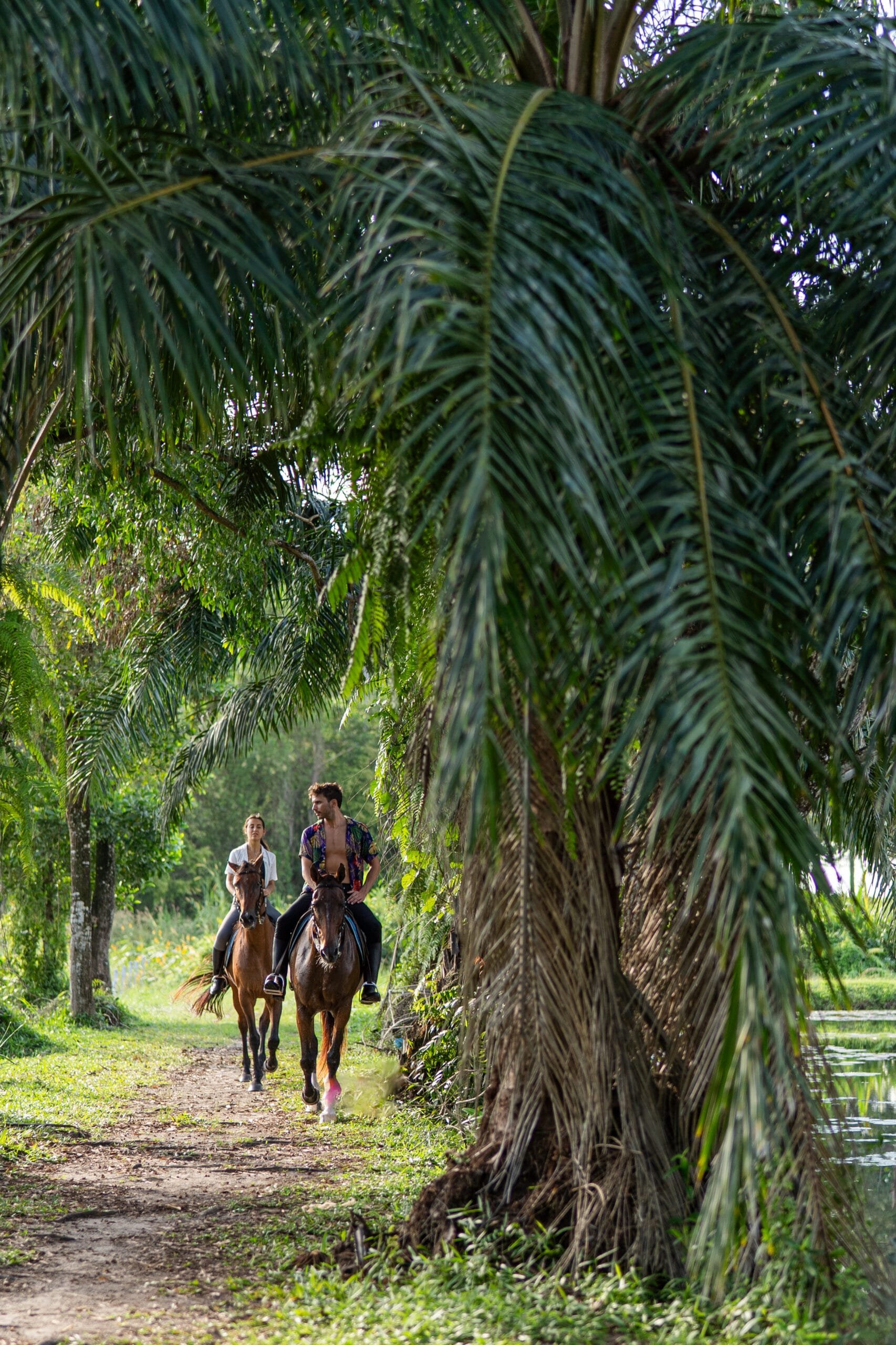 Melia Phuket horseback riding