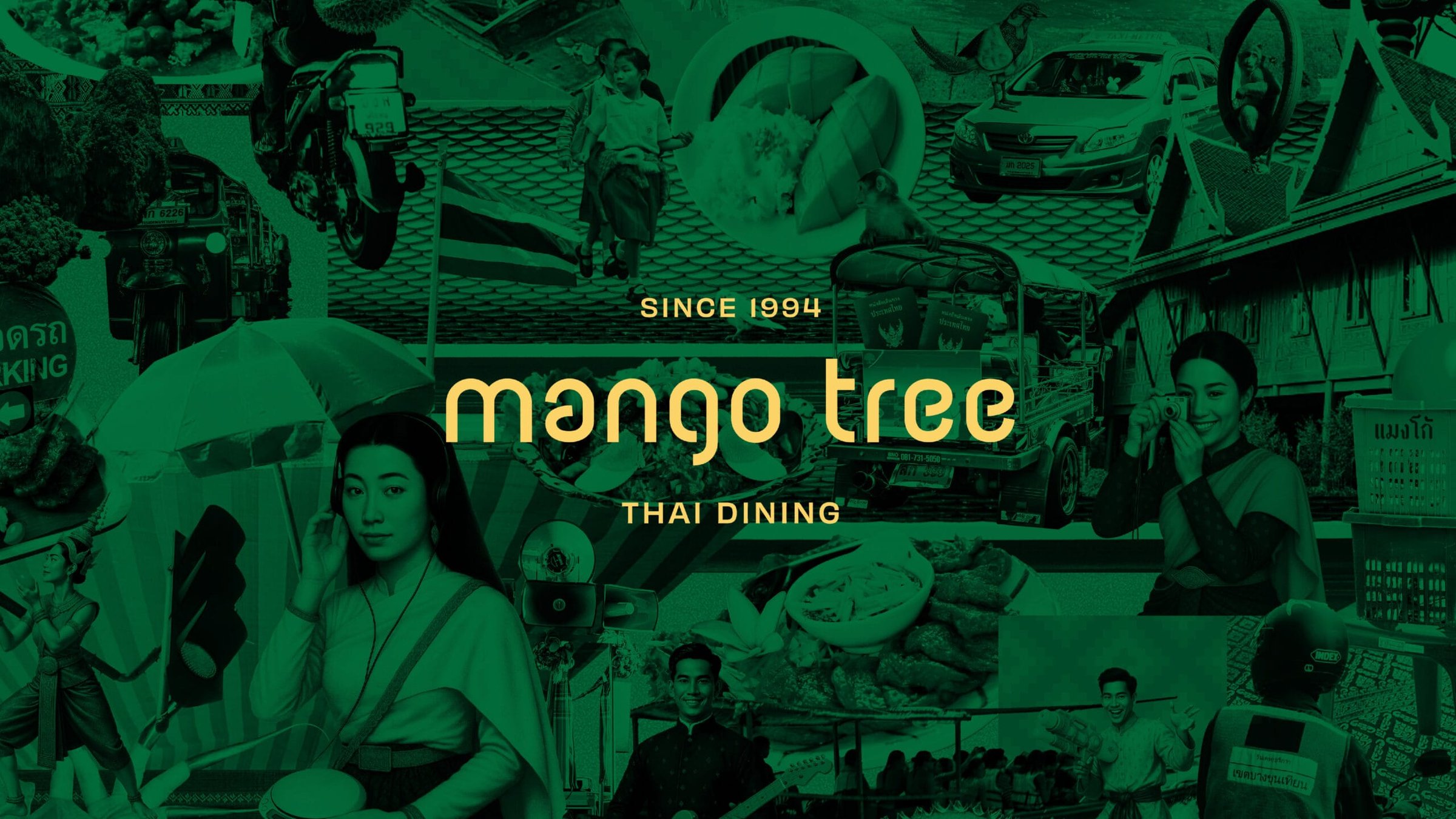 mango tree