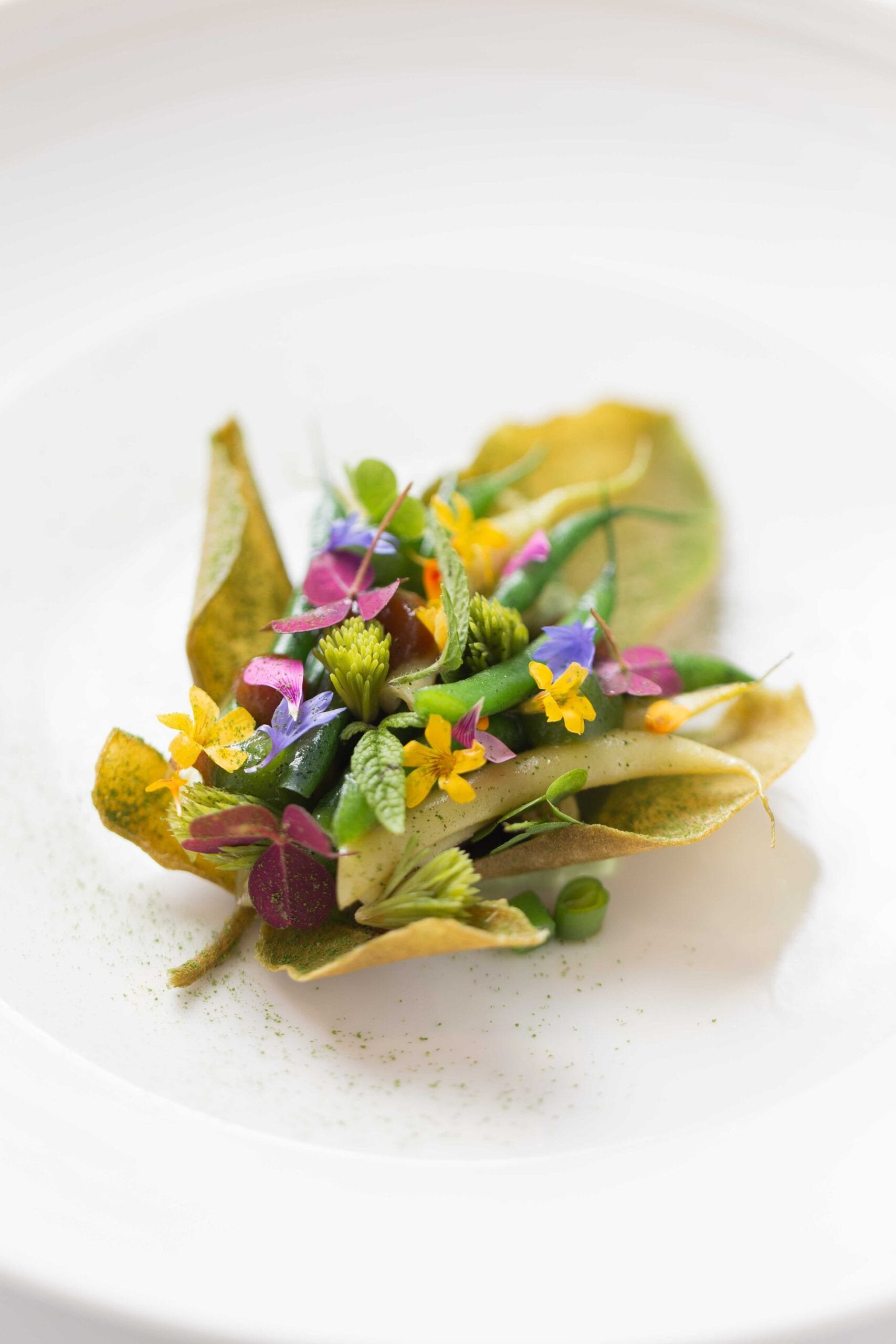 Anne-Sophie Pic Valence haricot vert